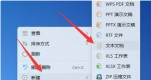 win11D(bio)^ɰɫQwin11D(bio)^ɰɫ}