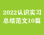 2022WI(y)惞(yu)㿂Y(ji)10ƪ