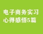 電子商務(wù)實(shí)習(xí)心得感悟5篇