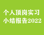 個(gè)人頂崗實(shí)習(xí)小結(jié)報(bào)告2022