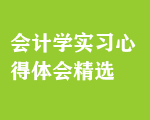 會(huì)計(jì)學(xué)實(shí)習(xí)心得體會(huì)精選