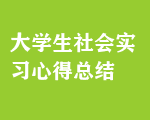 大學(xué)生社會(huì)實(shí)習(xí)心得總結(jié)