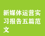 新媒體運(yùn)營(yíng)實(shí)習(xí)報(bào)告五篇范文