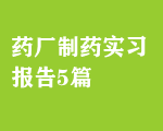 藥廠制藥實(shí)習(xí)報(bào)告5篇