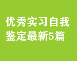 優(yōu)秀實(shí)習(xí)自我鑒定最新5篇