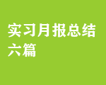 實(shí)習(xí)月報(bào)總結(jié)六篇