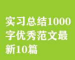 實(shí)習(xí)總結(jié)1000字優(yōu)秀范文最新10篇