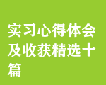 實(shí)習(xí)心得體會(huì)及收獲精選十篇