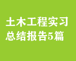 土木工程實(shí)習(xí)總結(jié)報(bào)告5篇
