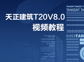 T20V8.0̌Wҕl