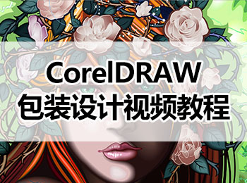 CorelDRAWbOӋҕl̳