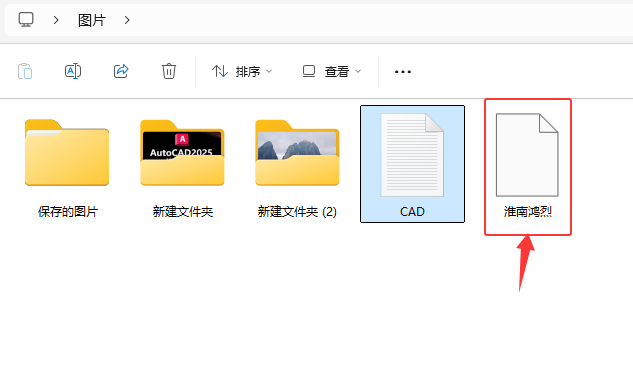 CoreIDRAW2024ęnΌCPTʽļ
