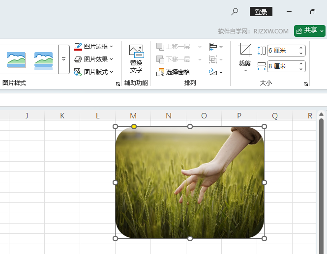 EXCEL2024ôшDƬüɈAǾ