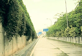 Photoshopɫ{ĈDƬ